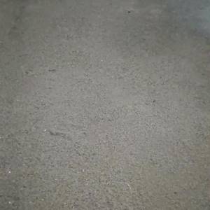 Sahil