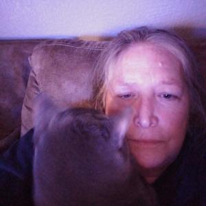 Lori A Butler