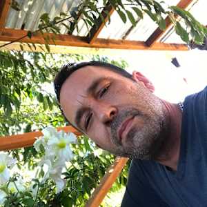 Todd Wells