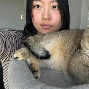 Anna Zhang
