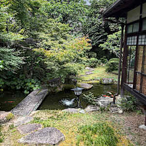 kanoko