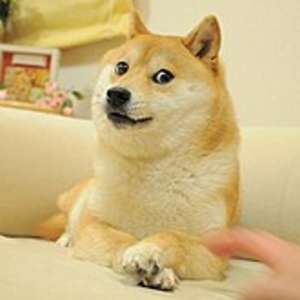 Bao