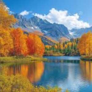 Muhammad Asaduzzaman