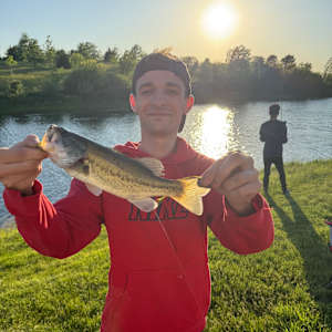 Tyler