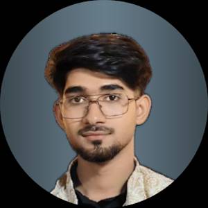 Adil Ansaree