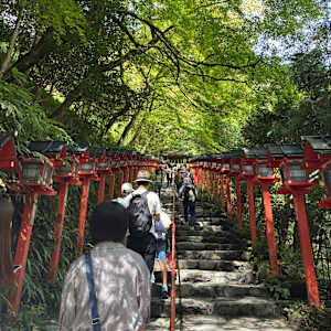CHIKAKO
