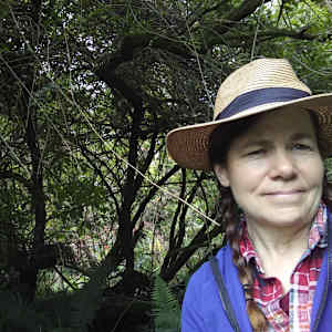 Linda Susan Weyerts