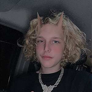 Dustin Stout