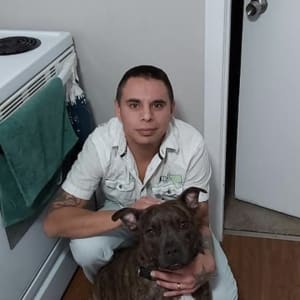 Robert