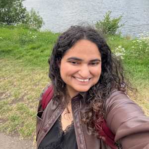 Tarini tilve