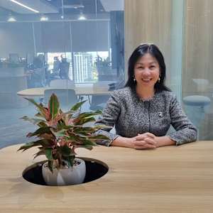 Hoa Mai