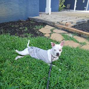 Aeryn