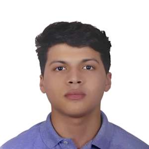 Karim El Kady