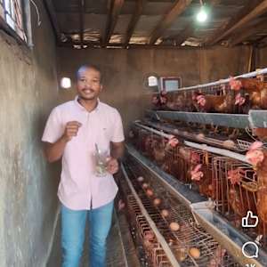 Andile