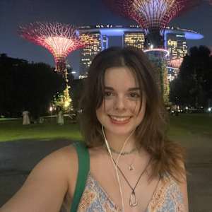 Insa