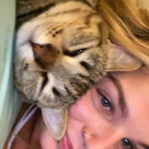 piper