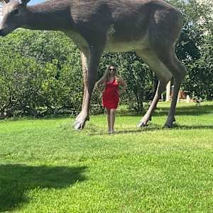 Britt