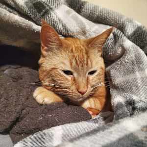 Victoria
