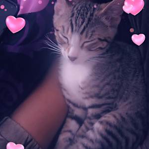 Nevaeh