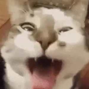 Julian