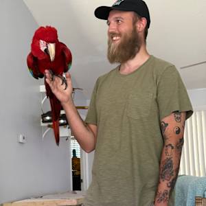Ryan