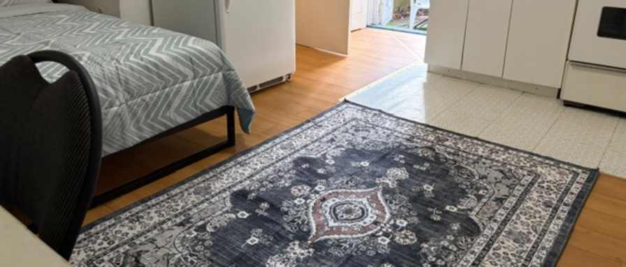 Samir Sehayek's room