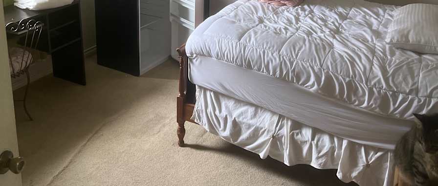 Angela Leach's room