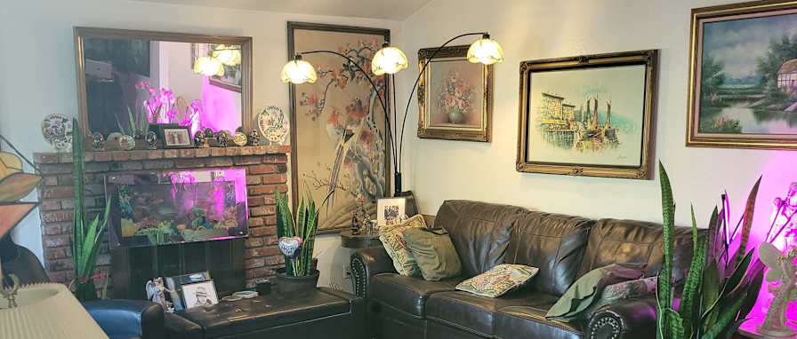 Edna's room