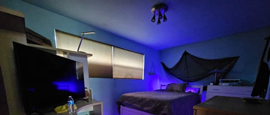 Todd's room