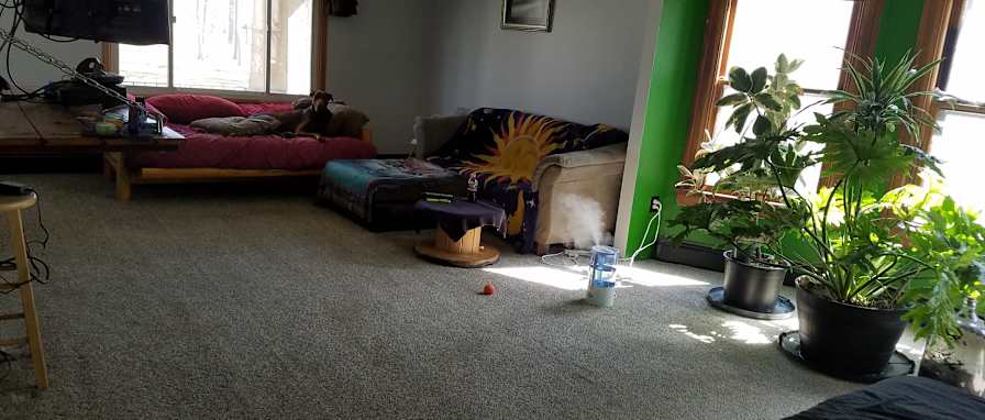Norman Freiert's room
