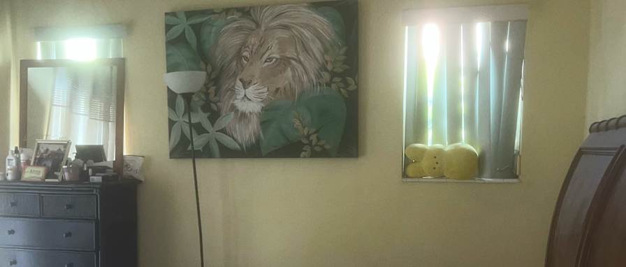 Shirley's room