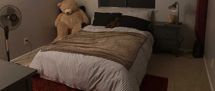 Sophie love's room