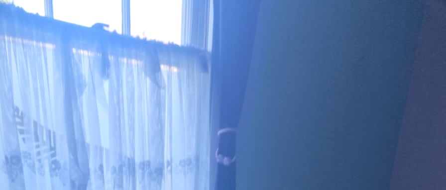 Dallas Stirling's room
