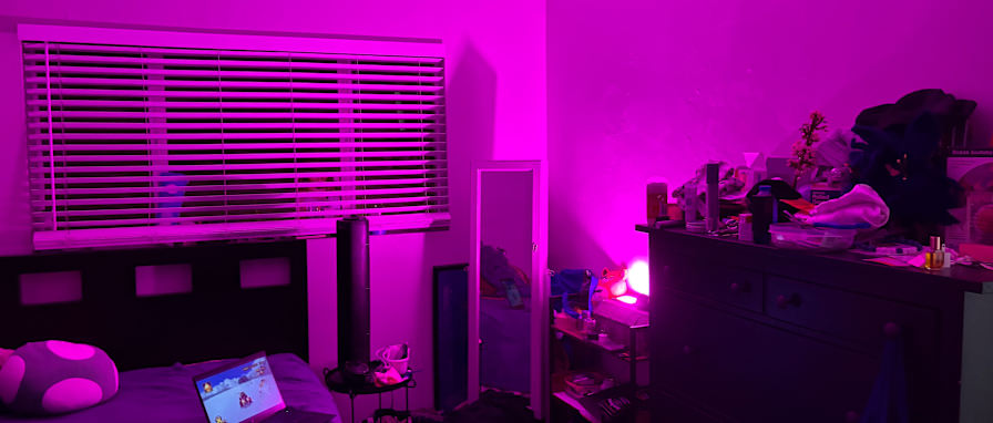 Paul's room