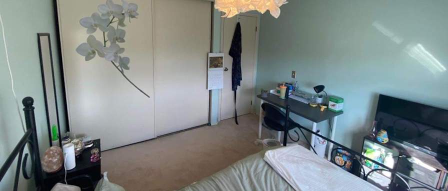 Andrew Finch's room