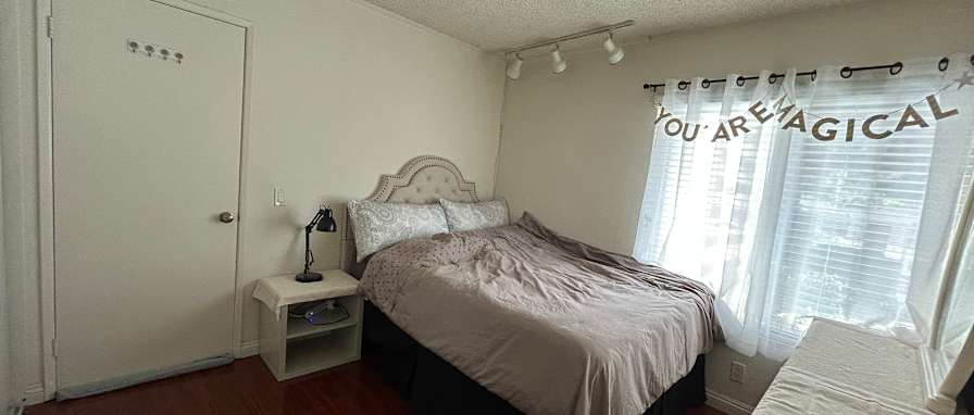 Shaunes's room