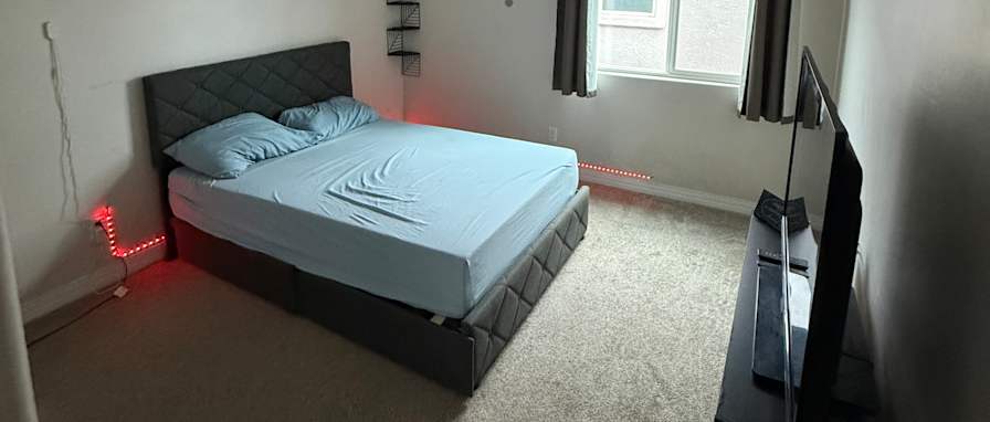 Solomon's room