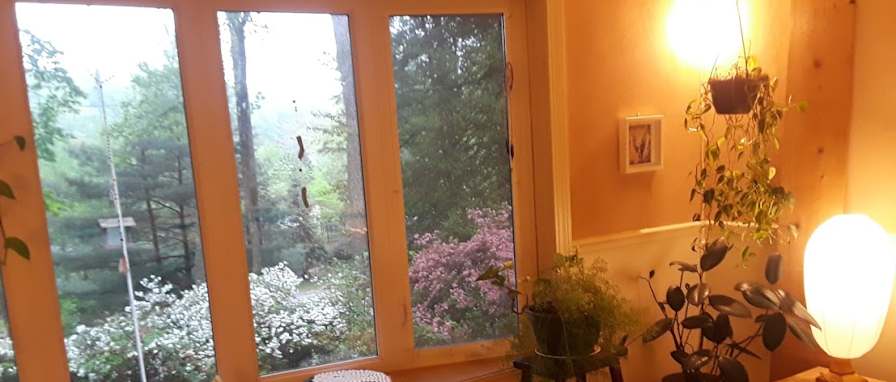 Jonah's room