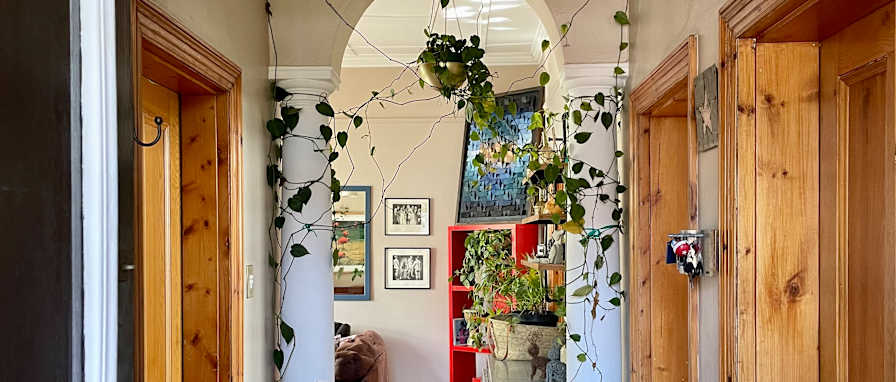 Dino's room