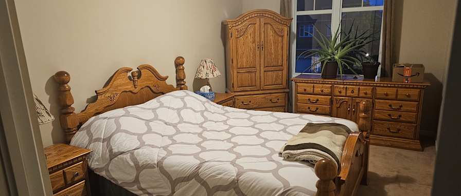 Dino's room