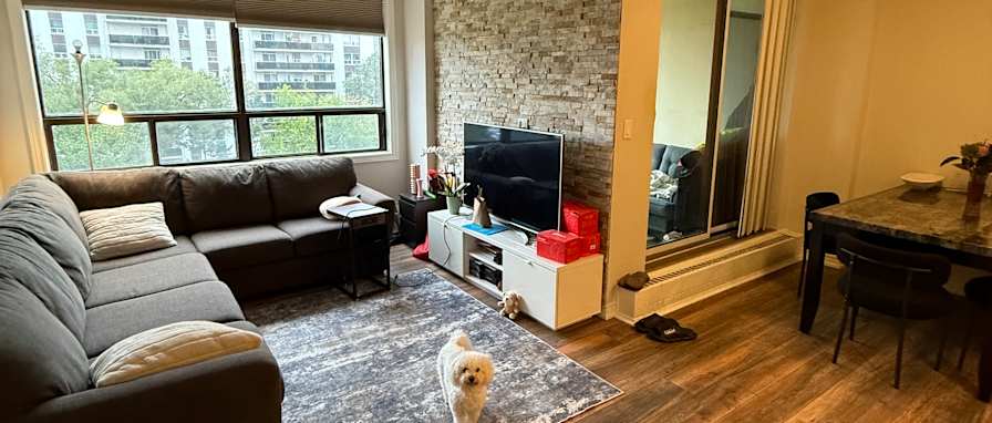 Dmitry's room