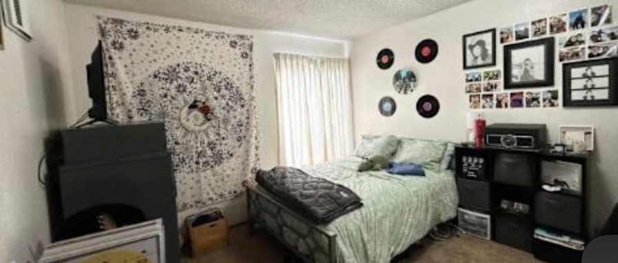 Lily's room