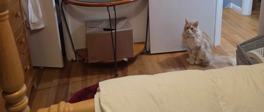 Mary-Sue Hart's room