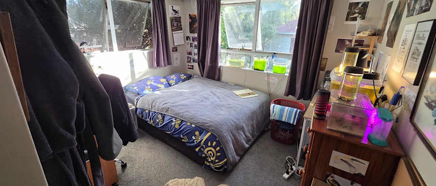 Liam's room