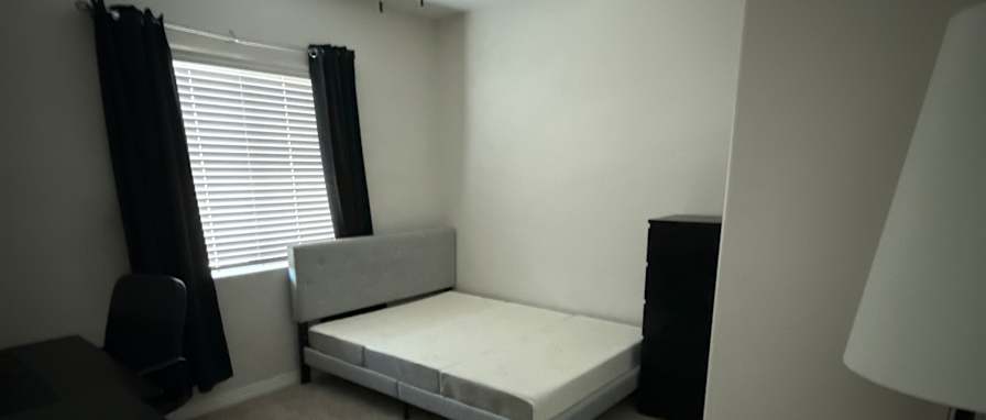 Solomon's room