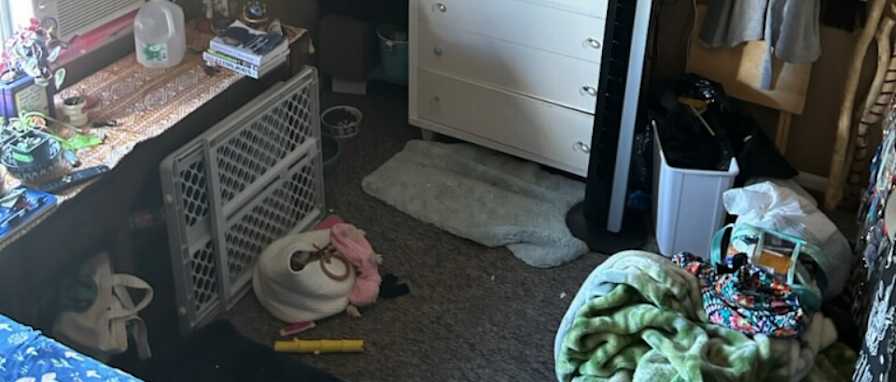 Amy's room