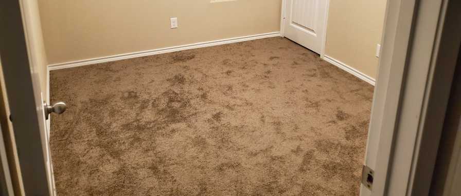 Adam's room