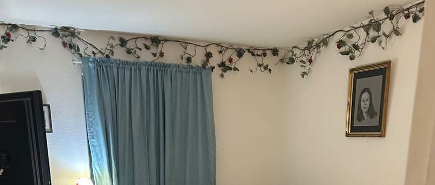 Isabel's room