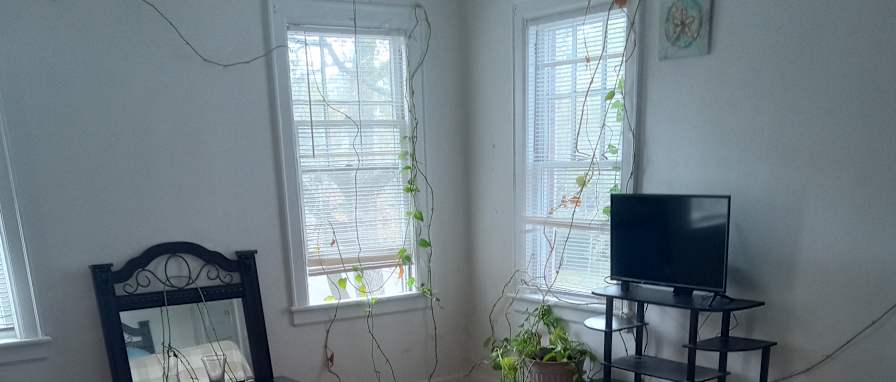 Paul's room