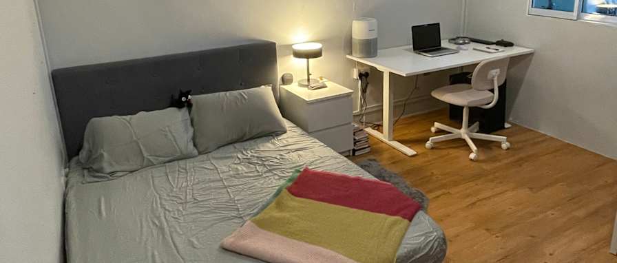 Vinesh's room